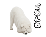 863814388