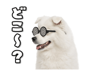863814391