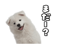 863814392