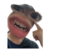 863866555