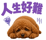 863899034