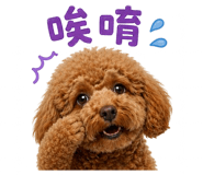 863899043