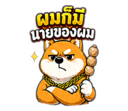 863904914