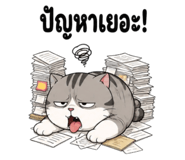 863905064