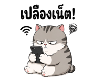 863905076