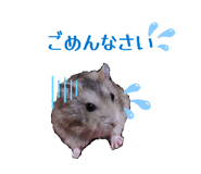 863905628