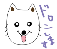 863921699