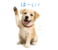 863931911