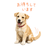 863931916