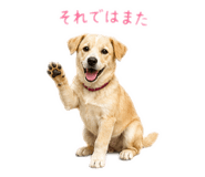 863931923