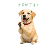 863931941