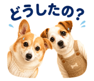 863933152