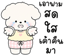 โมมี่ หมาน้อยแสนซน รูปที่ 22