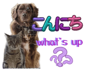 863969360