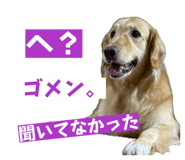 863969477