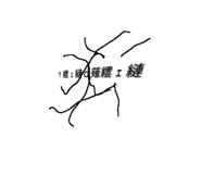 863970554