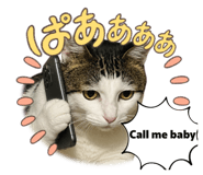 863972290