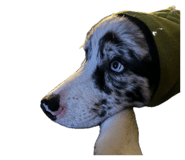 863978207