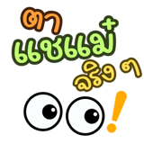 863979053