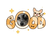 863991879