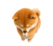 863995396