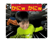863997068