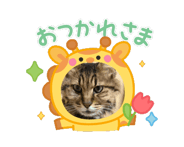 863999778