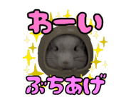 864001727