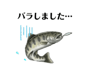 864006887