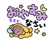864007591