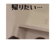 864010458