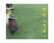 864022501