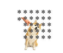 864049189