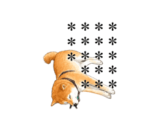 864049192