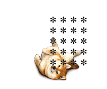 864049198