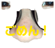 864052500