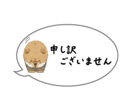 864054234