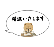 864054247