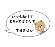 864054260