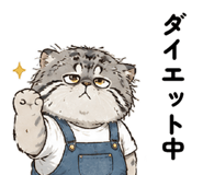 864054394