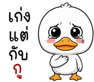 864055257