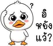 864055261