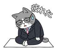 864084644