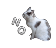 864087082