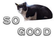 864087085