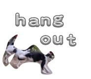 864087089