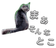 864087091