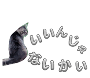 864087096