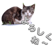 864087099