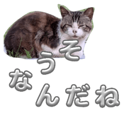 864087101